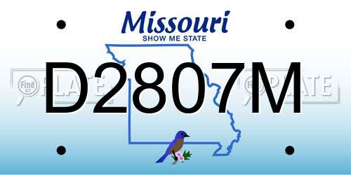 D2807M Missouri License Plate
