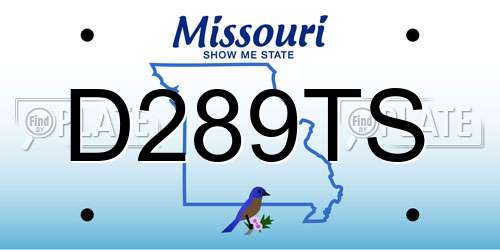 D289TS Missouri License Plate