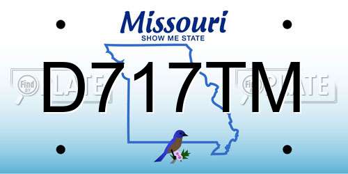 D717TM Missouri License Plate