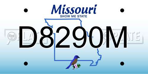 D8290M Missouri License Plate