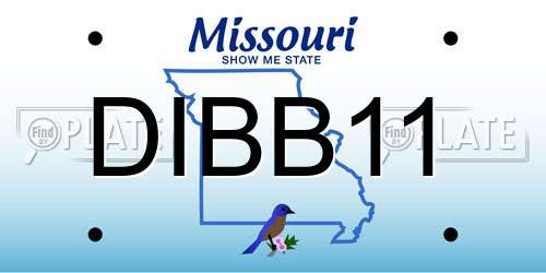 DIBB11 Missouri License Plate