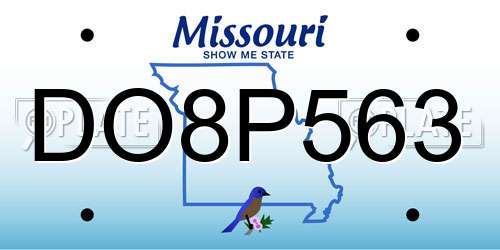DO8P563 Missouri License Plate