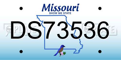 DS73536 Missouri License Plate