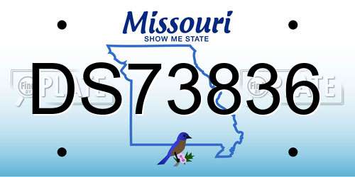 DS73836 Missouri License Plate