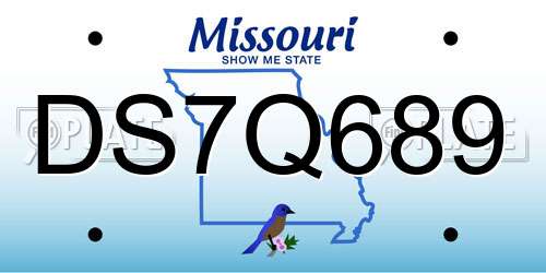 DS7Q689 Missouri License Plate