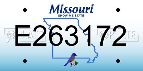 E263172 Missouri License Plate