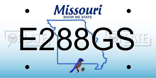 E288GS Missouri License Plate