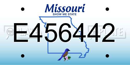 E456442 Missouri License Plate