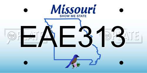EAE313 Missouri License Plate