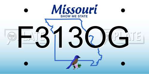F313OG Missouri License Plate