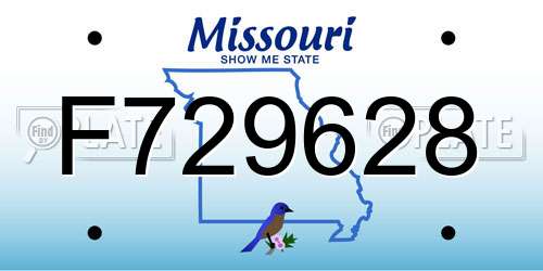 F729628 Missouri License Plate