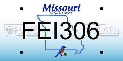 FEI306 Missouri License Plate