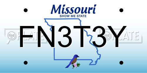 FN3T3Y Missouri License Plate
