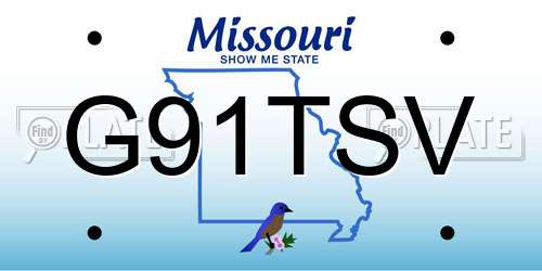 G91TSV Missouri License Plate