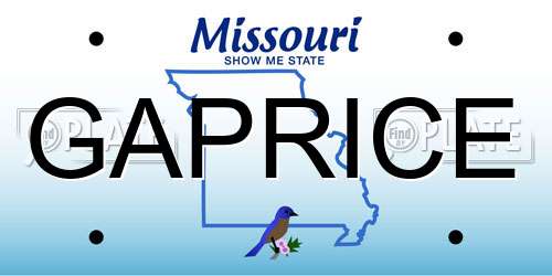 GAPRICE Missouri License Plate