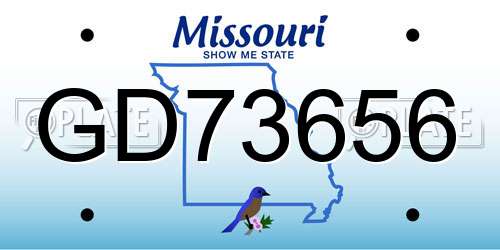 GD73656 Missouri License Plate