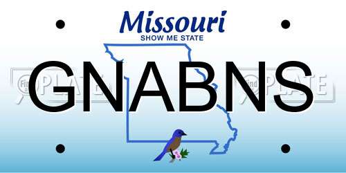 GNABNS Missouri License Plate