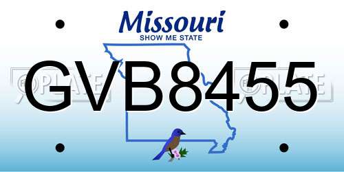 GVB8455 Missouri License Plate