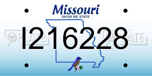 I216228 Missouri License Plate