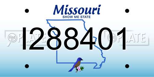 I288401 Missouri License Plate