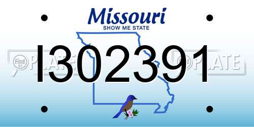 I302391 Missouri License Plate