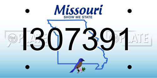 I307391 Missouri License Plate