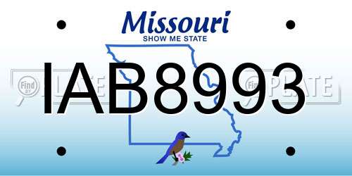 IAB8993 Missouri License Plate