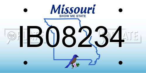 IB08234 Missouri License Plate