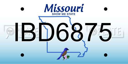 IBD6875 Missouri License Plate