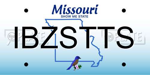 IBZSTTS Missouri License Plate