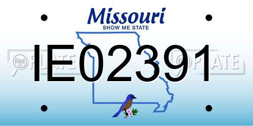 IE02391 Missouri License Plate