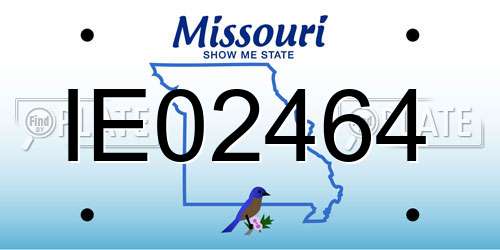 IE02464 Missouri License Plate