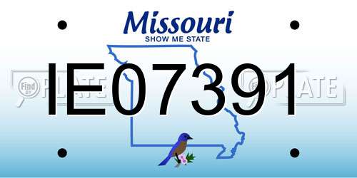 IE07391 Missouri License Plate