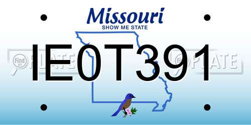 IE0T391 Missouri License Plate