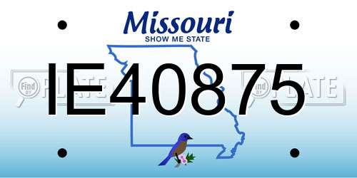 IE40875 Missouri License Plate