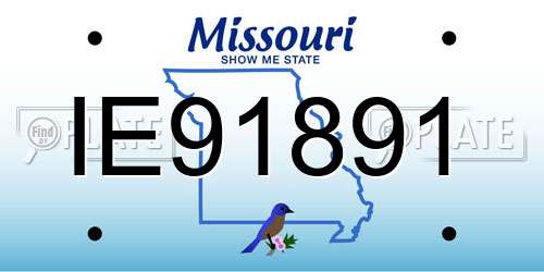 IE91891 Missouri License Plate