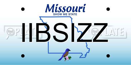 IIBSIZZ Missouri License Plate