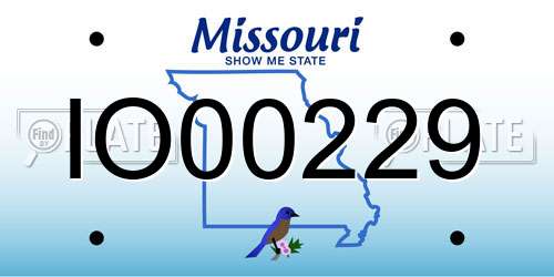 IO00229 Missouri License Plate