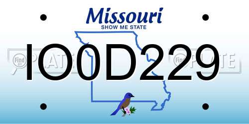 IO0D229 Missouri License Plate