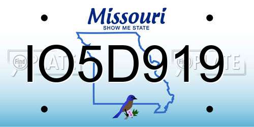 IO5D919 Missouri License Plate