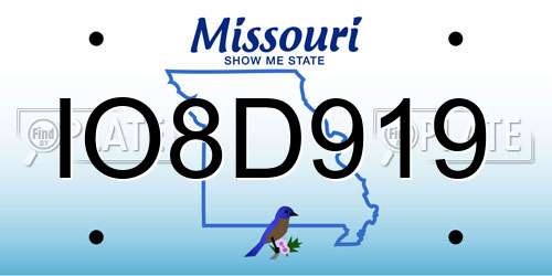 IO8D919 Missouri License Plate