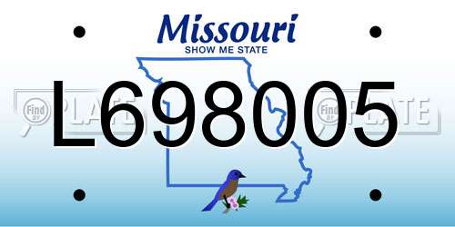 L698005 Missouri License Plate