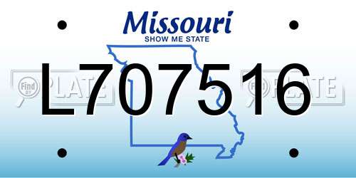 L707516 Missouri License Plate