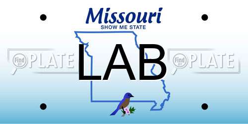 LAB Missouri License Plate