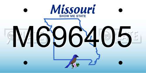 M696405 Missouri License Plate