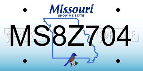 MS8Z704 Missouri License Plate