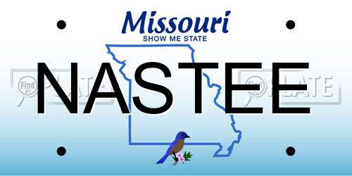 NASTEE Missouri License Plate