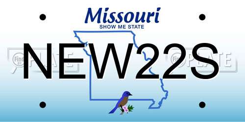 NEW22S Missouri License Plate
