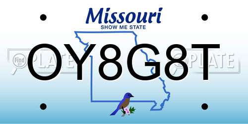 OY8G8T Missouri License Plate