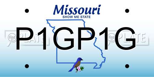 P1GP1G Missouri License Plate